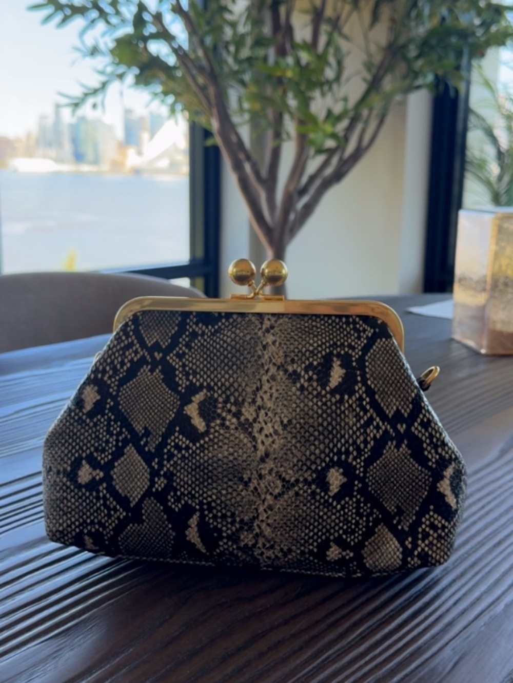 Snake-Print Frame Clutch - Black & Cream